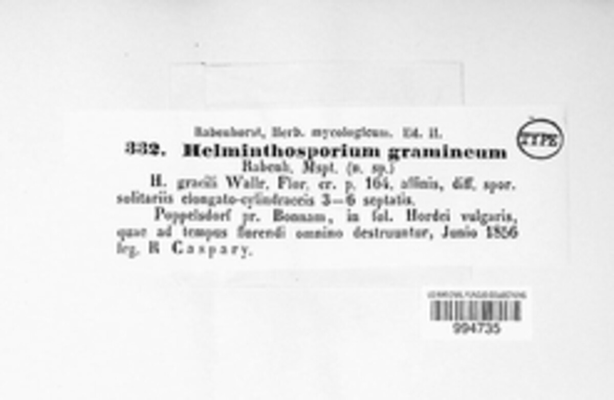 Pyrenophora graminea image